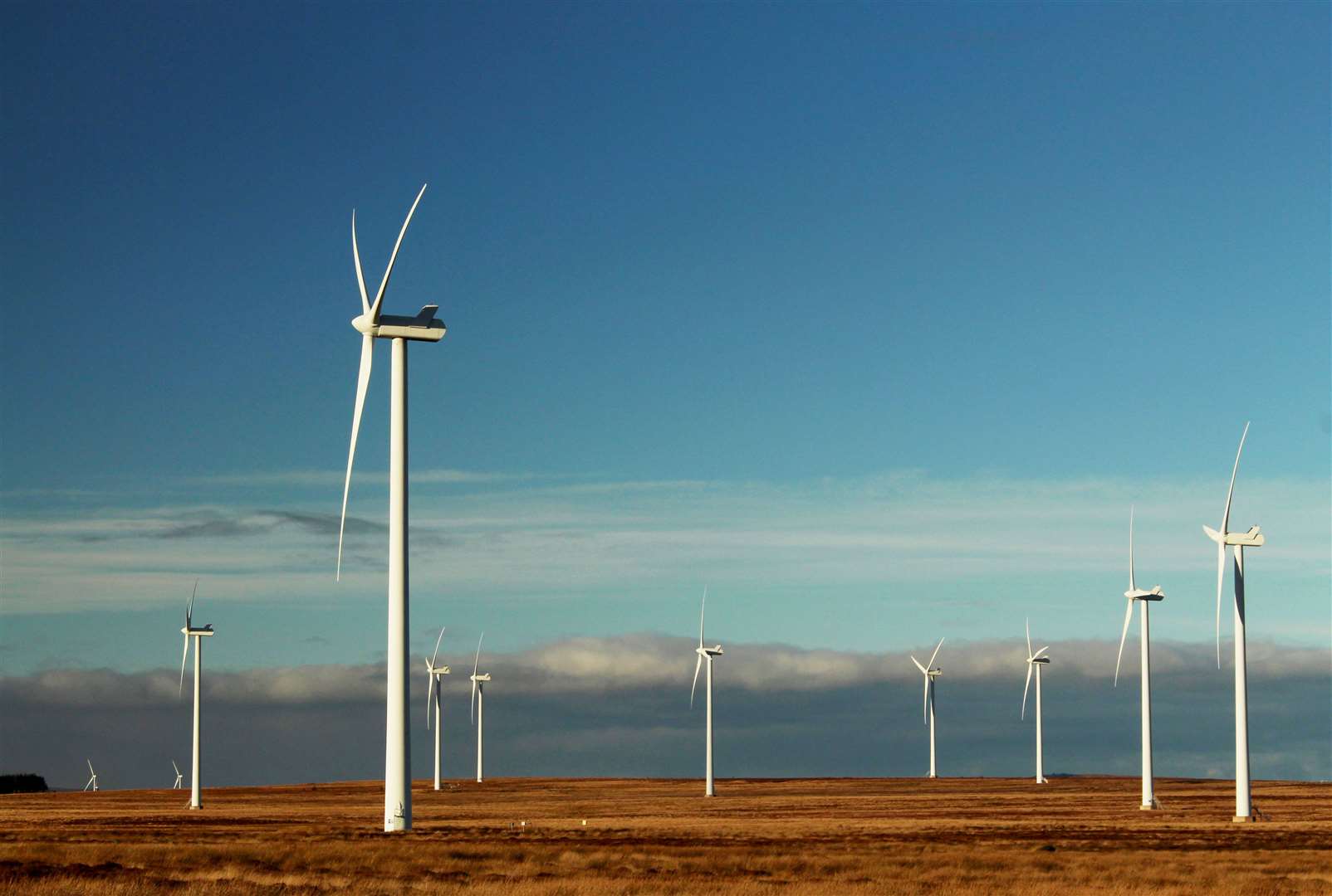 Some of the turbines at the existing Camster Wind Farm. Picture: Alan Hendry