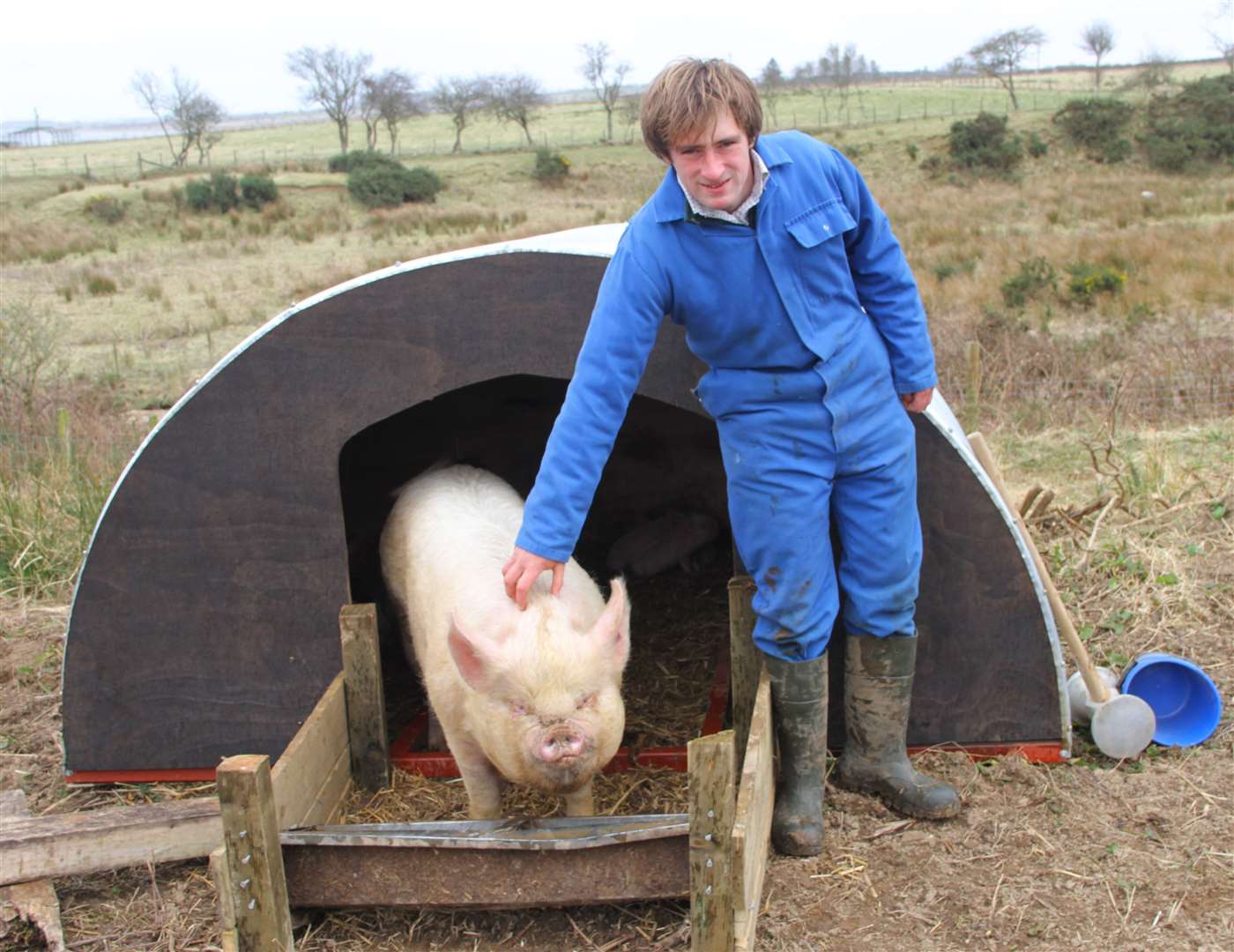 Sam Wybrew pictured with one of the Middle White sows at the door of her comfortable straw-bedded pig ark. Picture: Willie Mackay