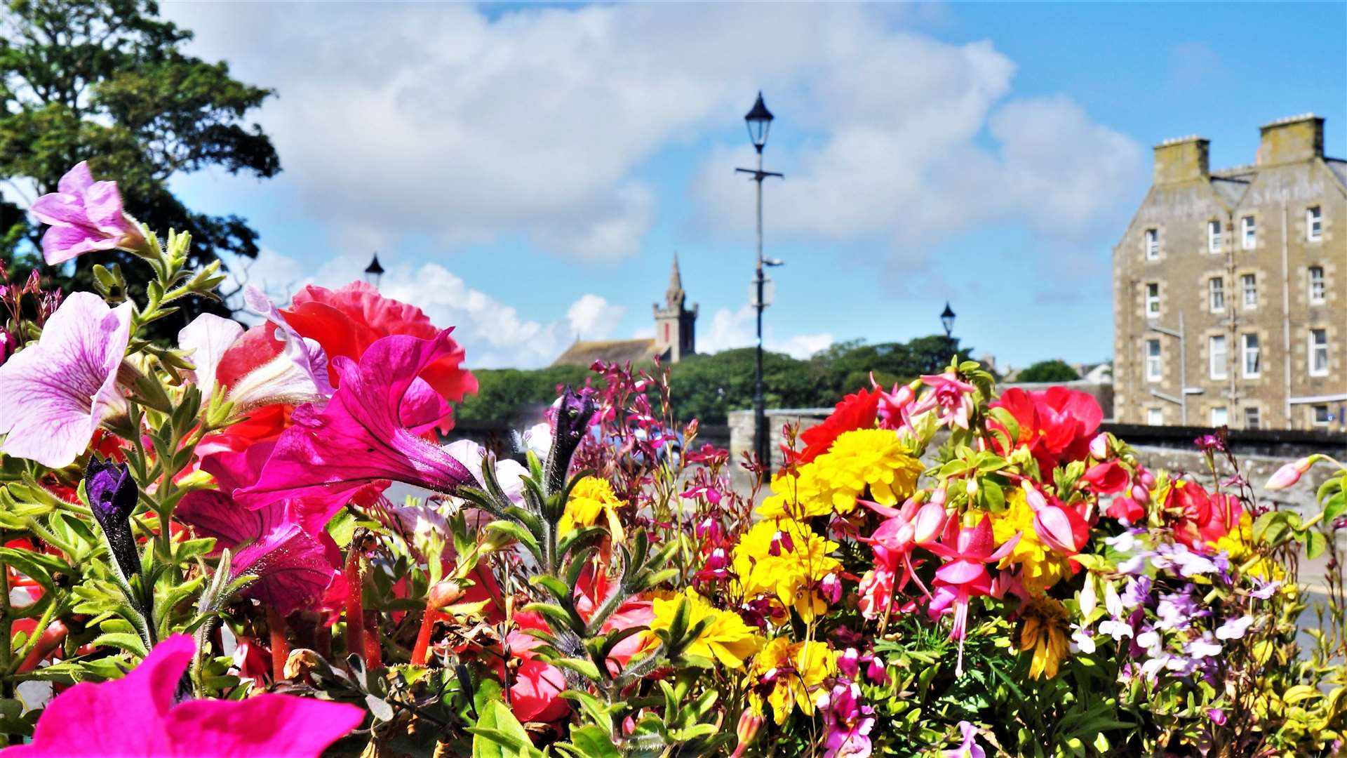 Flowers in Wick thanks to the Hanging Baskets Committee. Picture: DGS