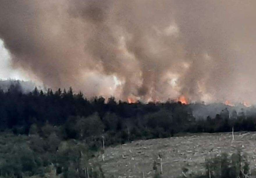 The wildfire near Cannich.