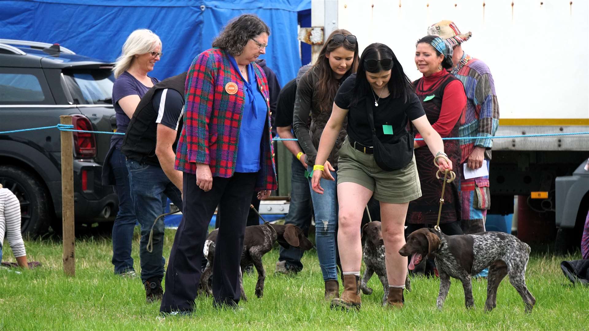 The dogs are put through their paces by judge Laura Swanson. Picture: DGS