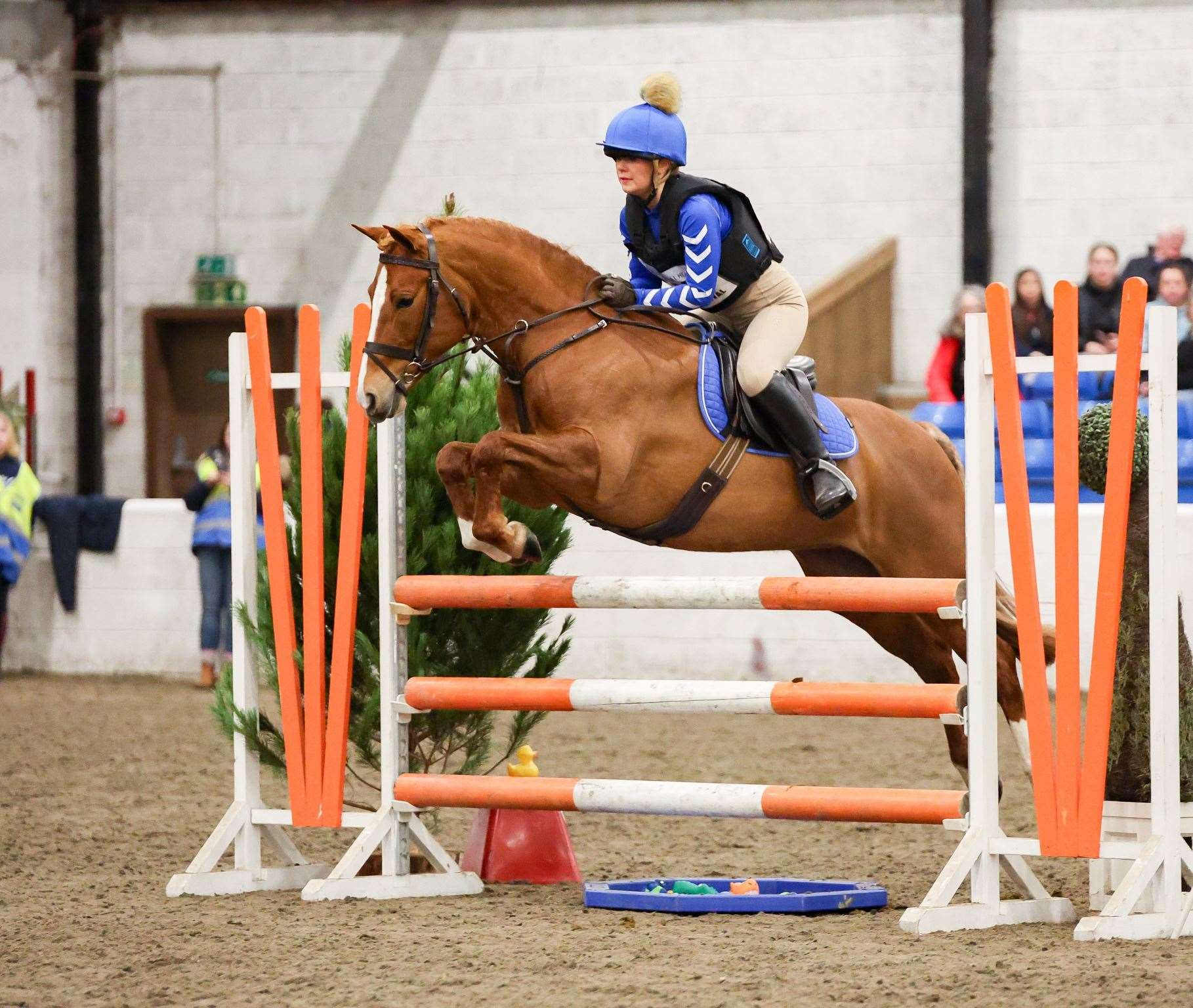 Leoni Kennedy in the arena eventing competition. Picture: Jamie Agnew Photography