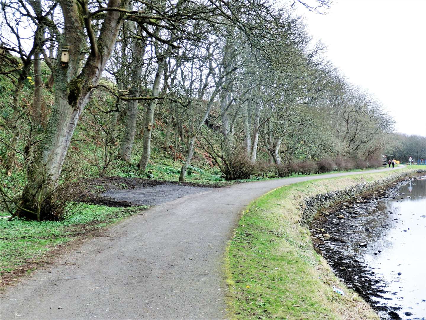 Area of Wick riverside where a man was seen lying among the trees on Friday evening. Picture: DGS