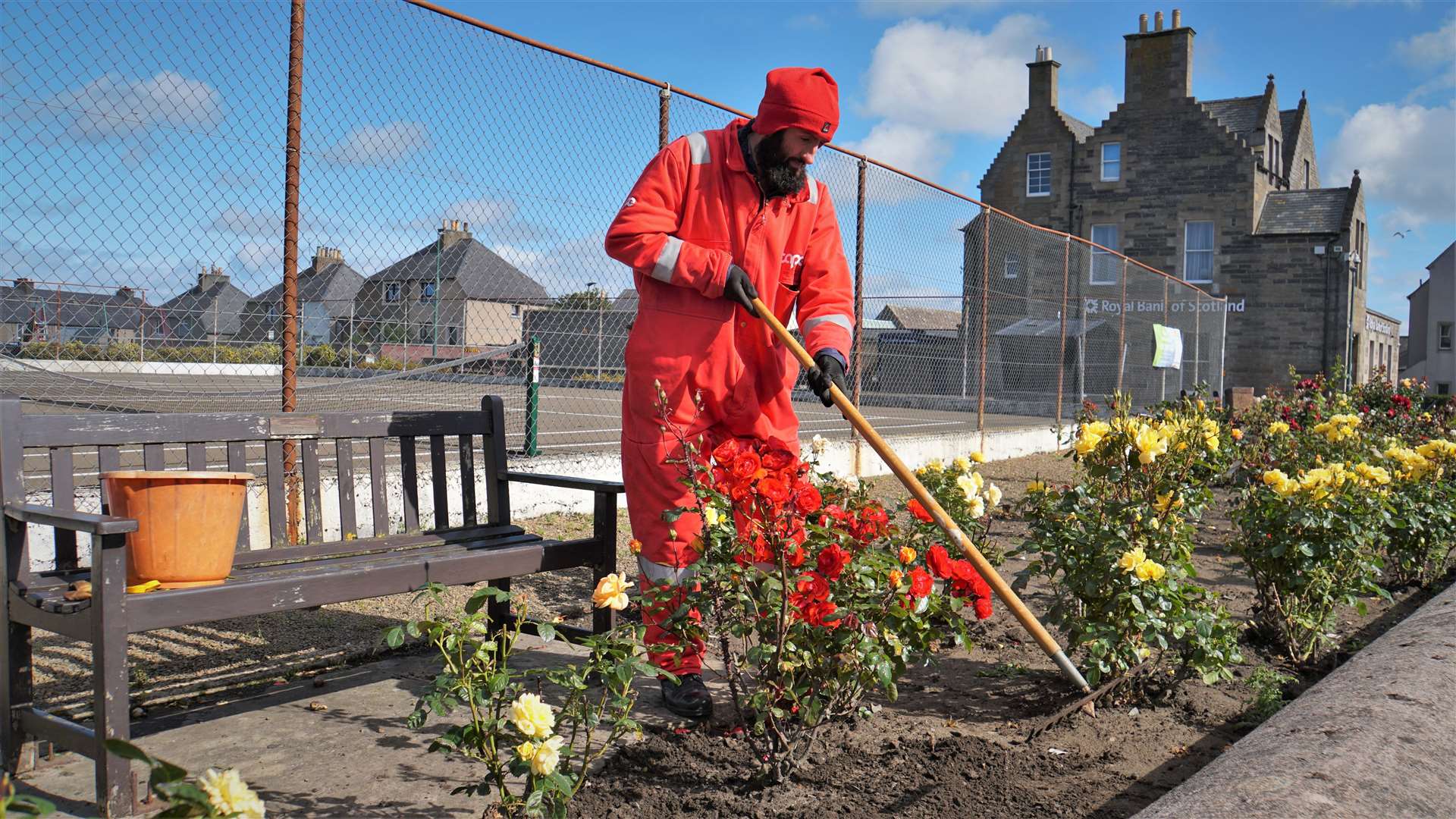 Thurso community activist Alexander Glasgow tends the roses on Olrig street in Thurso. Picture: DGS