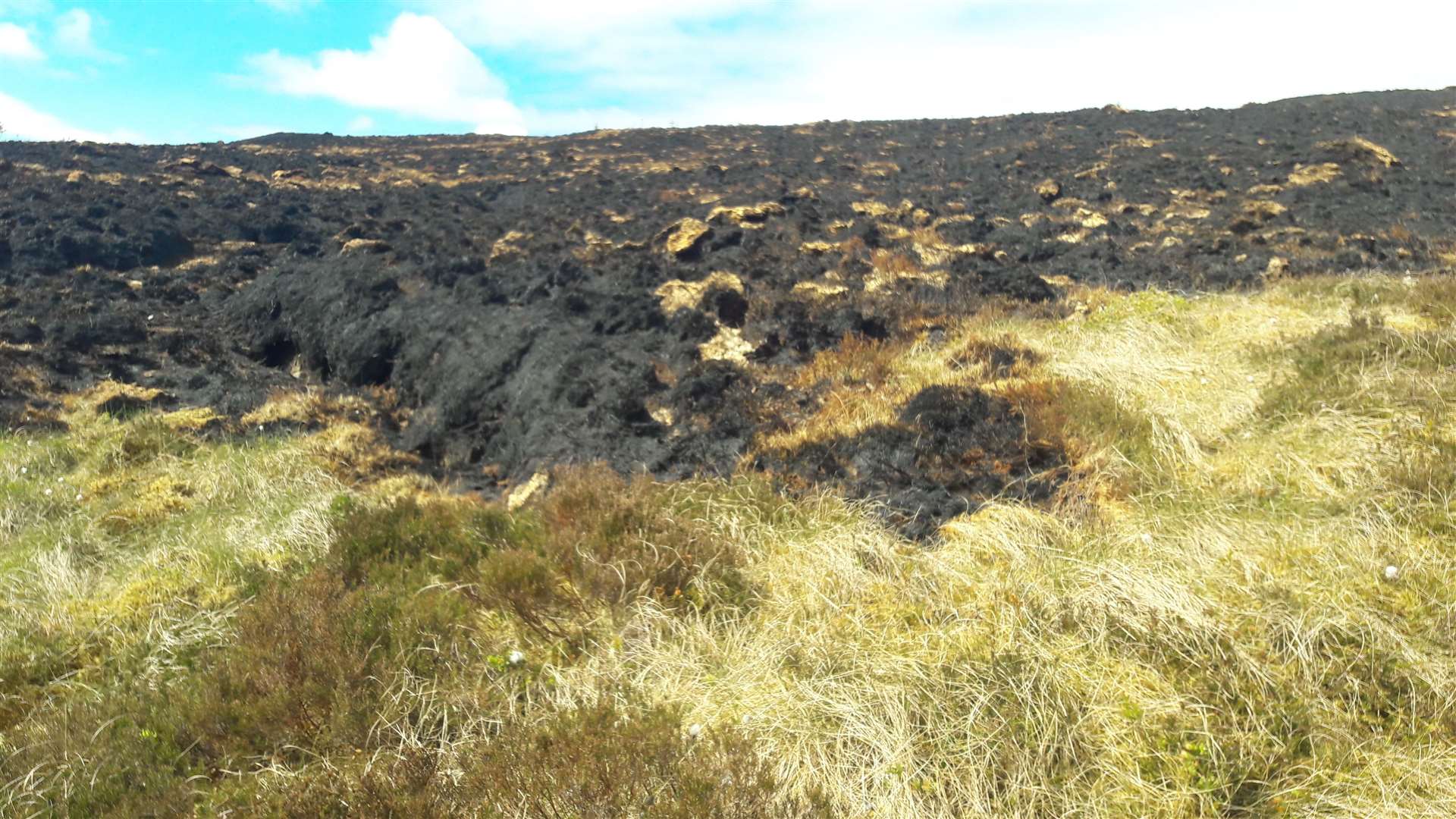 Wildfire damge to peatland is of particular concern.