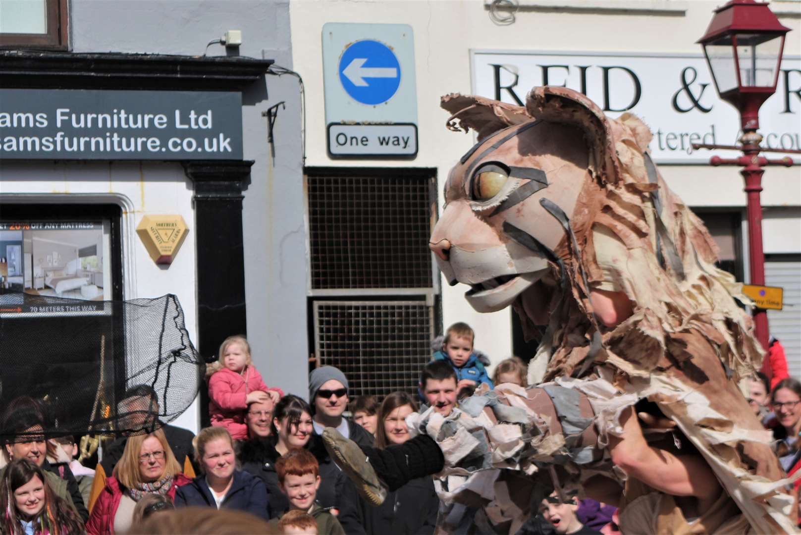 The big cat rears up and towers over the crowd in Wick. Picture: Eswyl Fell