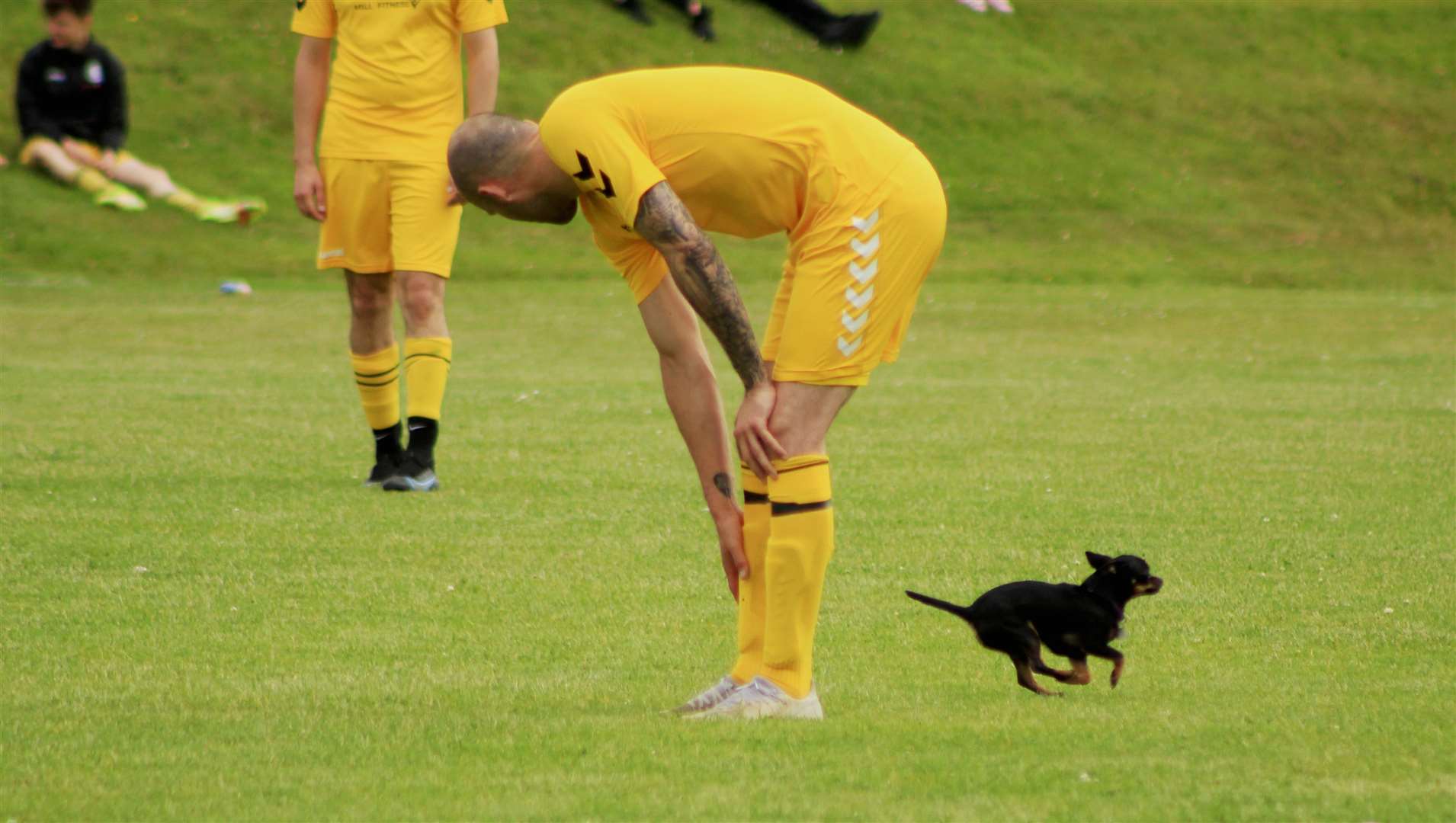 A pitch invasion by a small dog held up play for a brief spell at Wick's Upper Bignold Park.