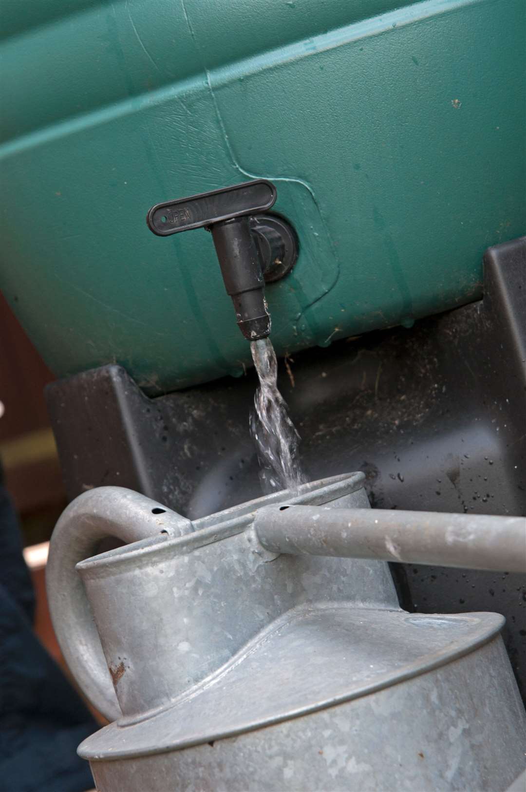 You may water your garden with tap water by hand, using a bucket or a watering can (PA)