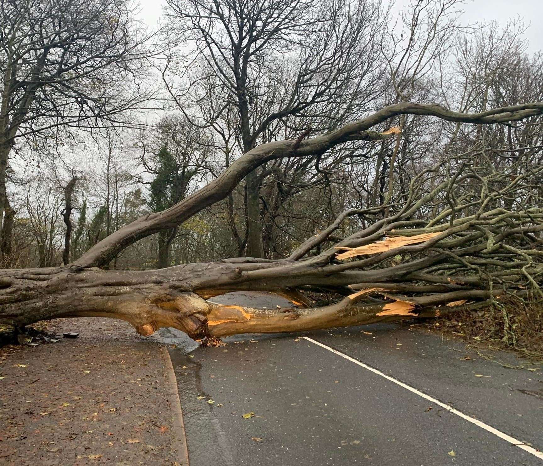 Diversions were put in place when fallen tree blocked the A836 at Castletown. Picture: Mark Rosie