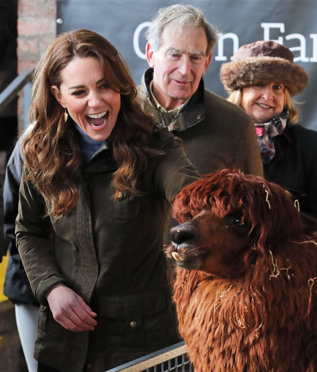 The Duchess of Cambridge stroking an alpaca during a visit in Northern Ireland