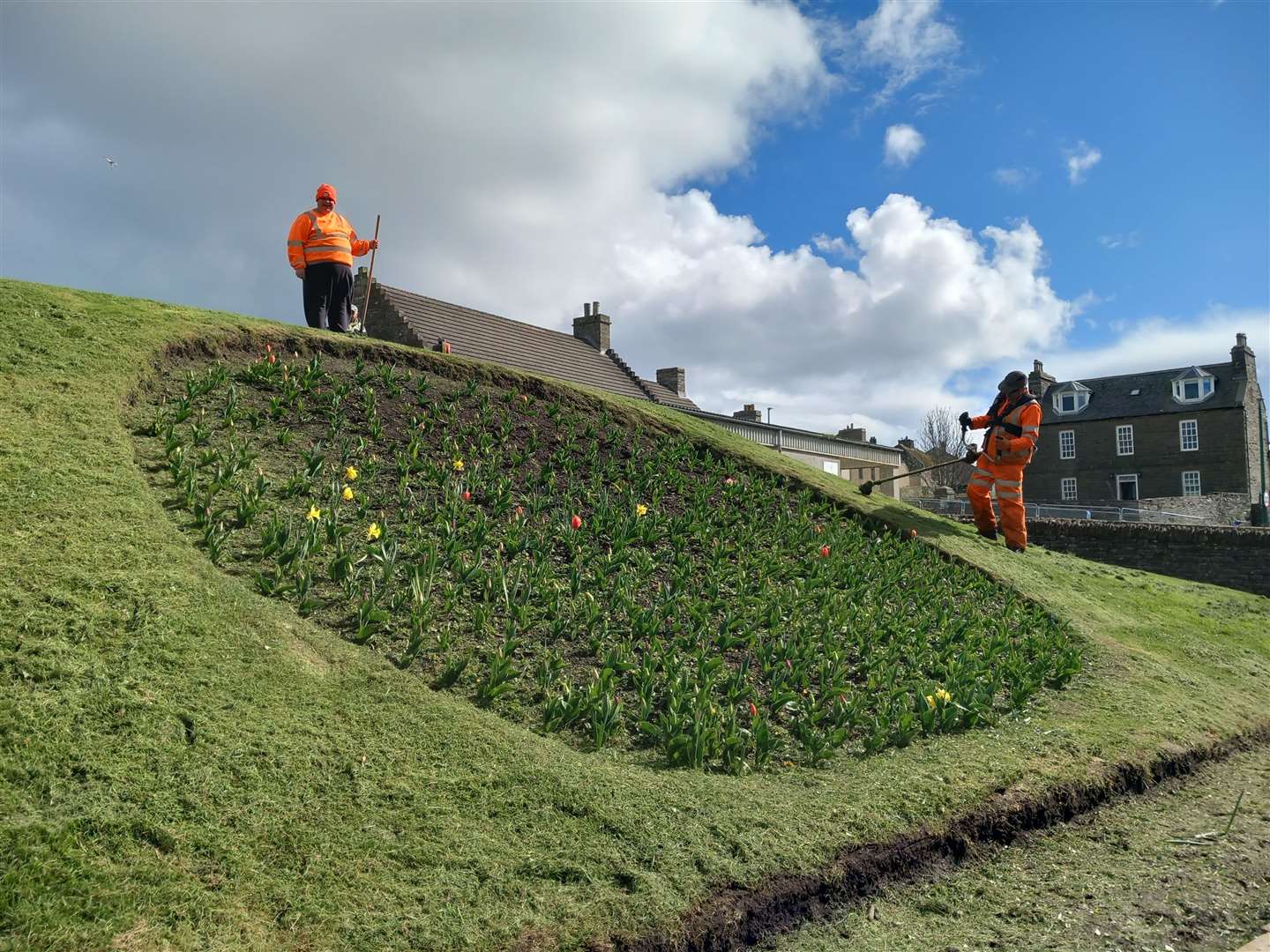 Derek Bremner took this photograph of the 'Toon Gardeners' cutting Kirkhill in Wick.