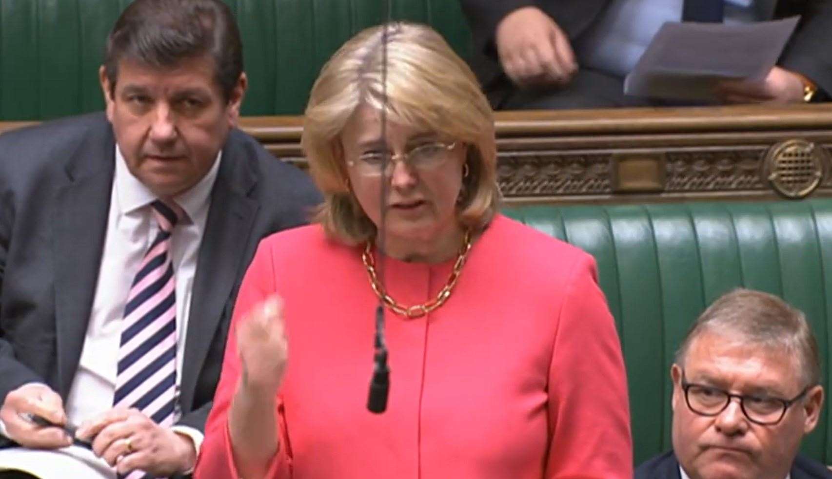 Conservative MP Anna Firth addresses the House of Commons (PA)