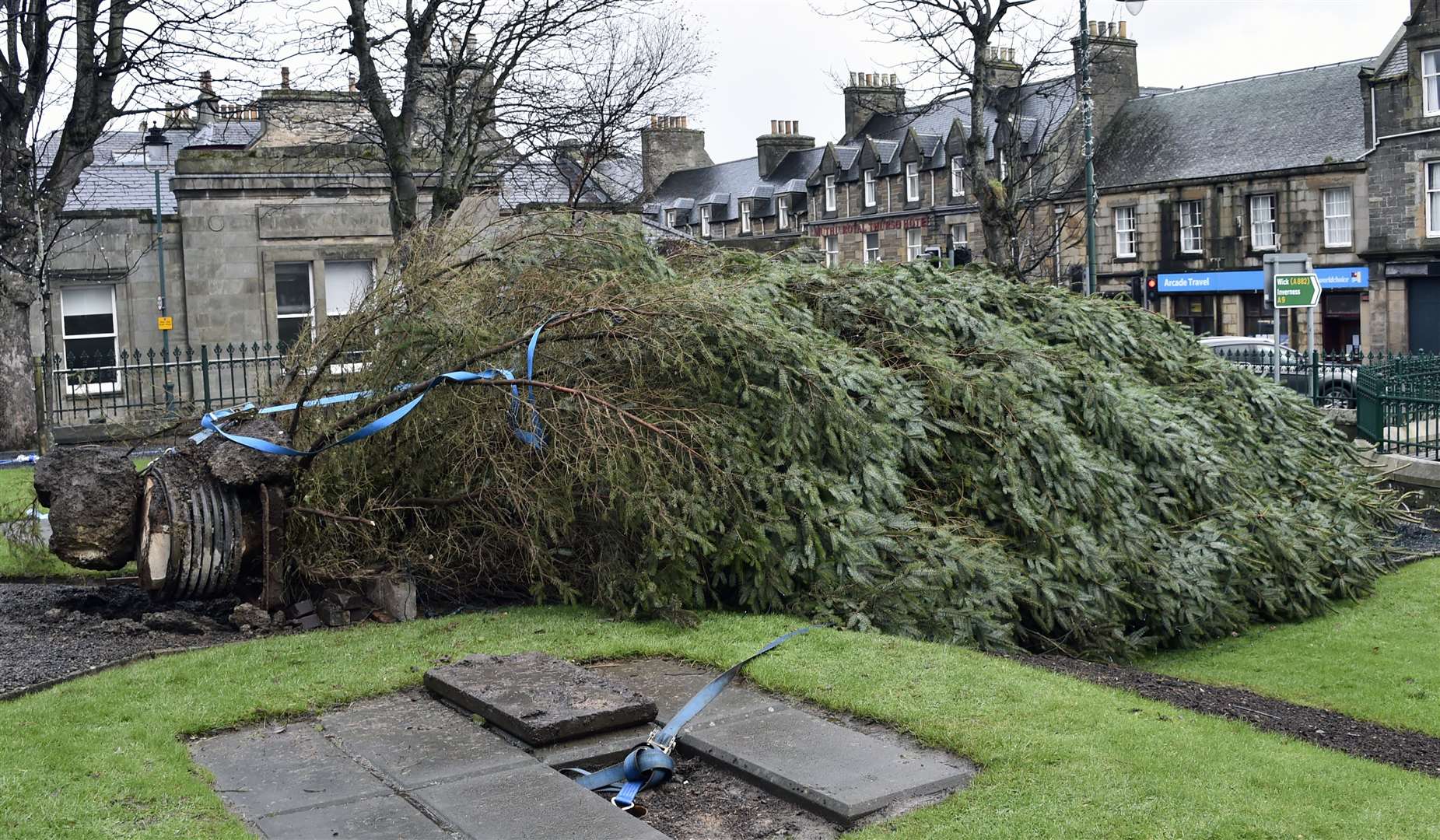 The Christmas tree in Sir John's Square, Thurso, toppled over in high winds last week just one day after it was put up. Picture: Mel Roger