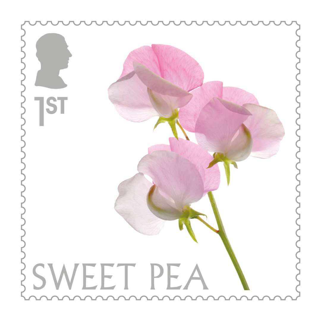 The sweet pea features on the first set of stamps to show the King’s new silhouette (Royal Mail/PA)