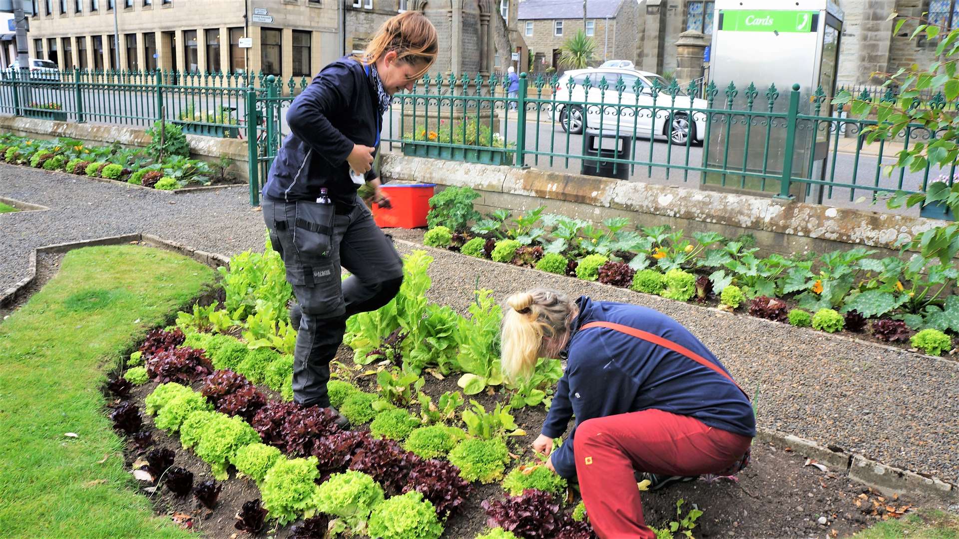 Highland Council wishes to promote more local food growing intitiatives like this one in Thurso. Picture: DGS