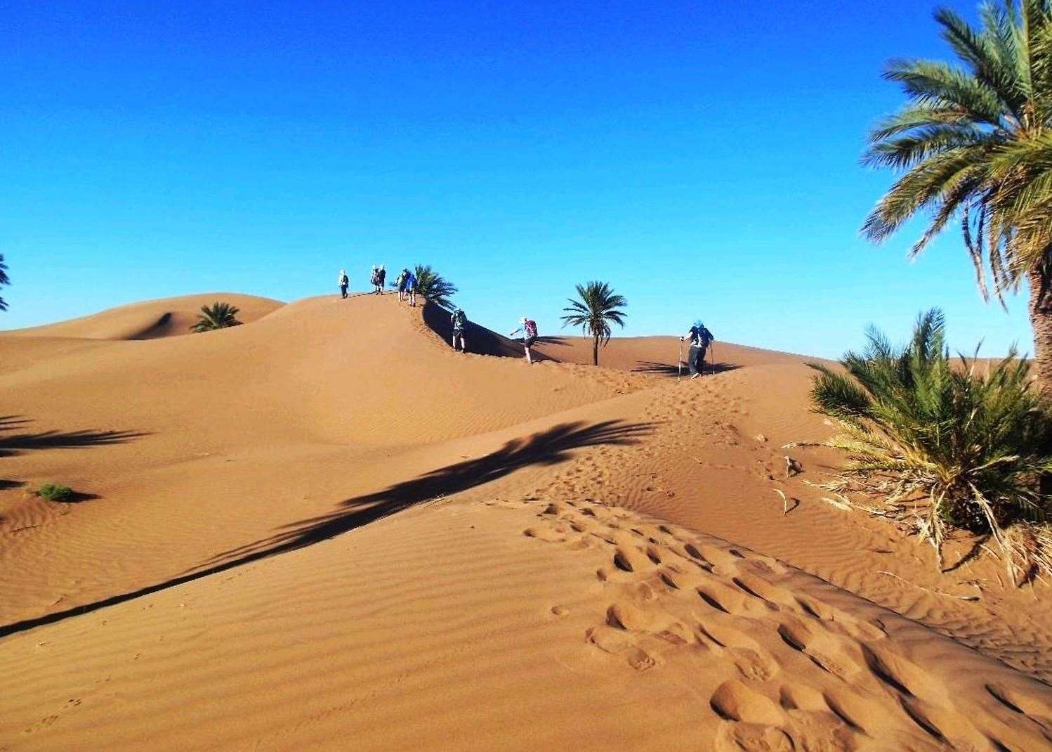Local guides will steer the team clear of hidden dangers such as scorpions and snakes on the expedition across the Sahara.
