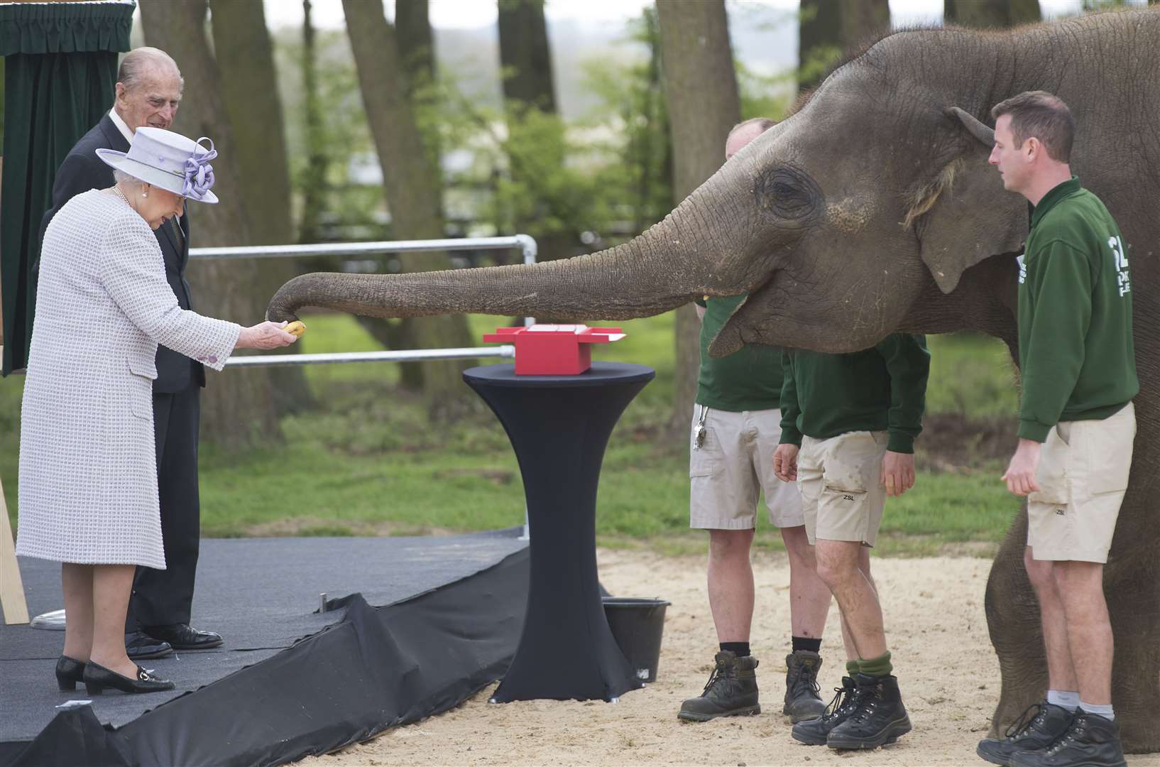The Queen feeds Donner the elephant at ZSL Whipsnade Zoo (David Rose/The Daily Telegraph/PA)