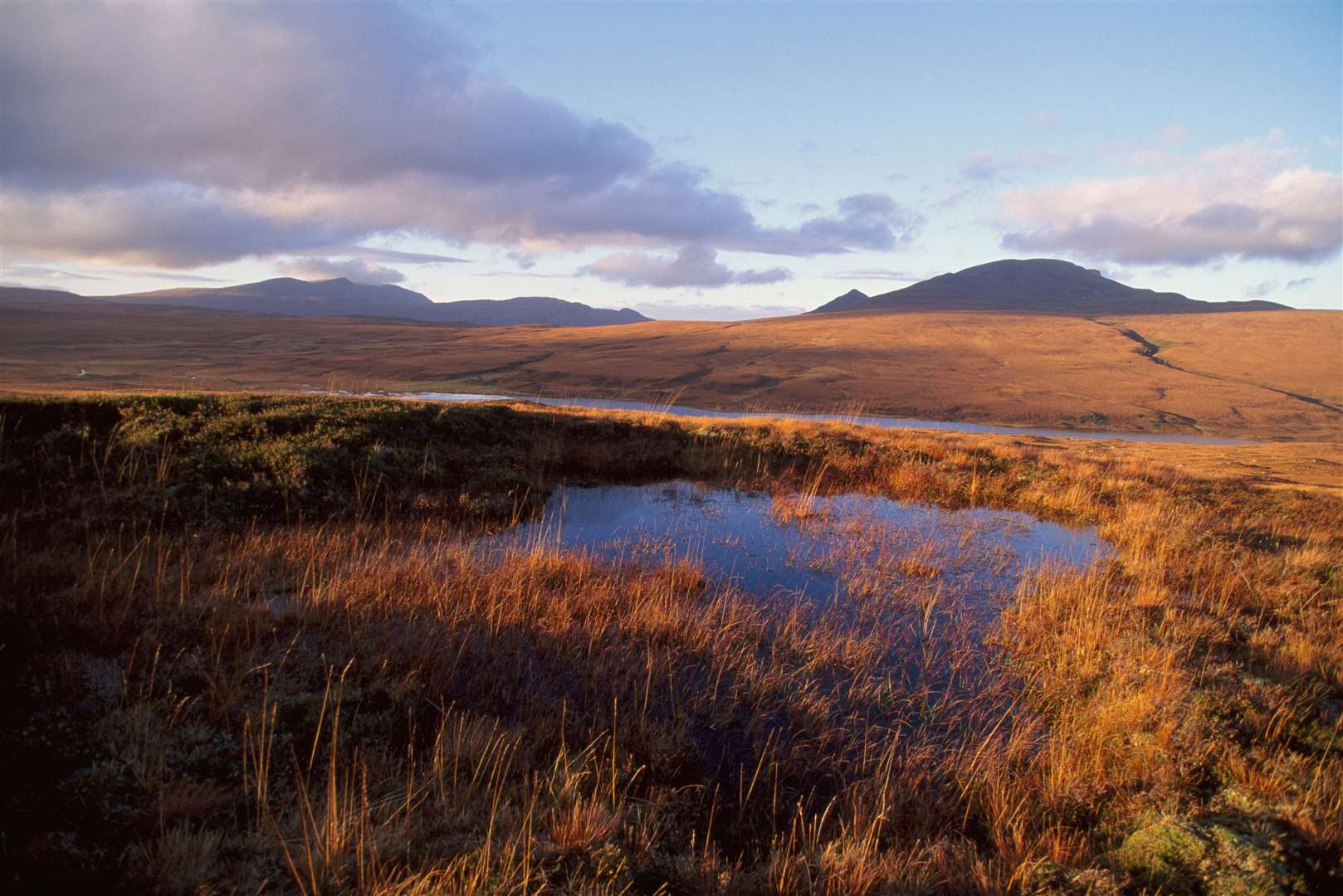 The Flow Country of Caithness and Sutherland acts as a huge carbon store.