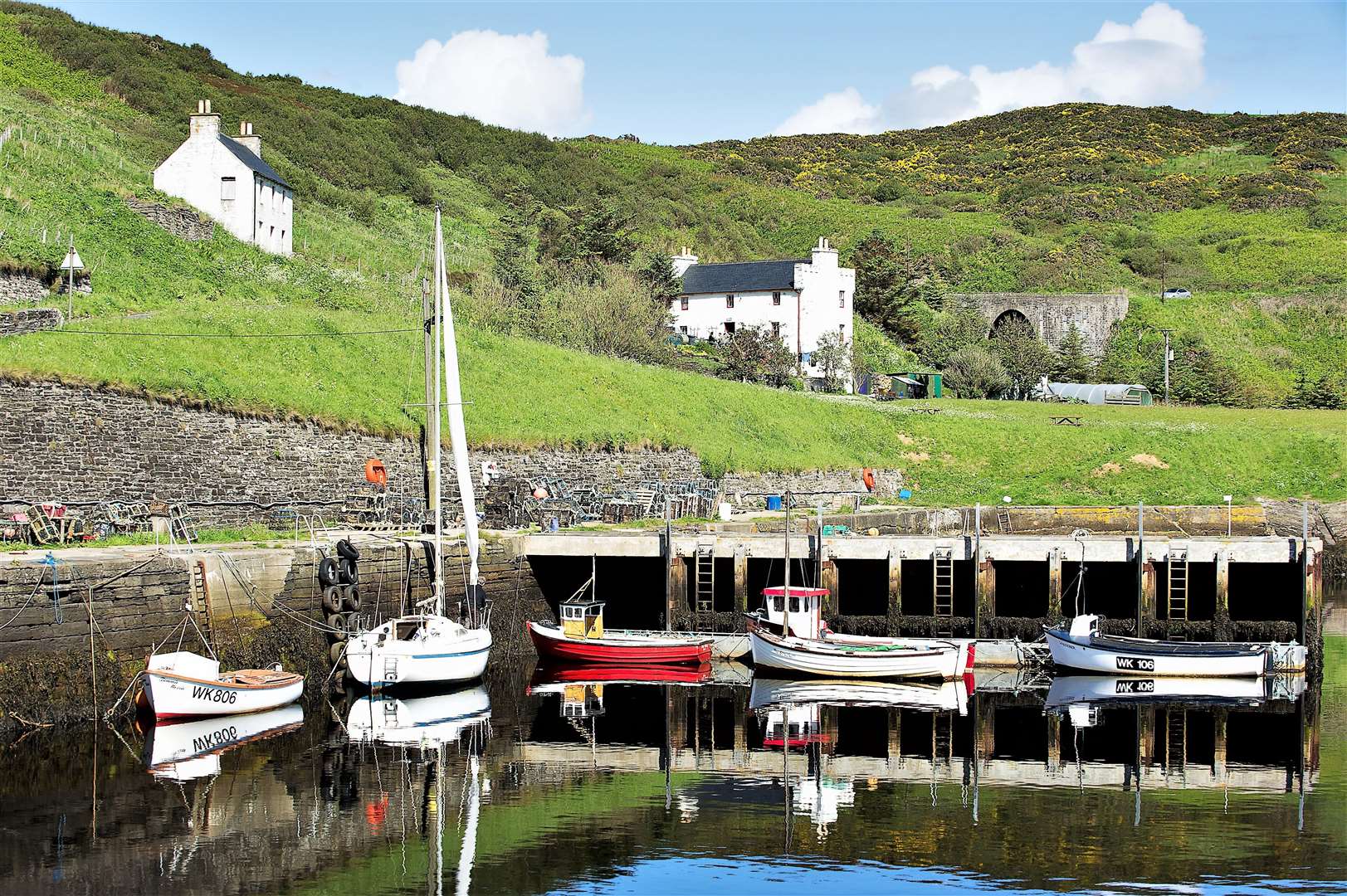 A colourful scene at Lybster harbour. Picture: Angus Mackay