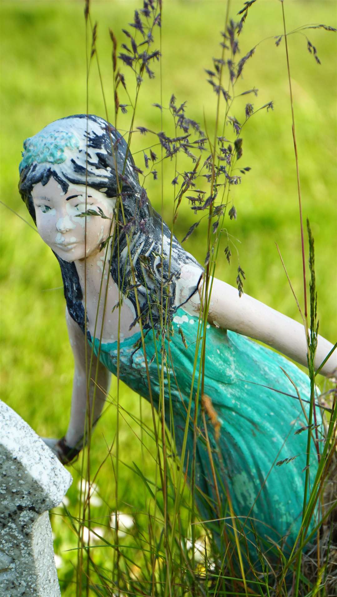 A statuette in Wick cemetery peeps through long grass before volunteers tackled the issue last year. Picture: DGS