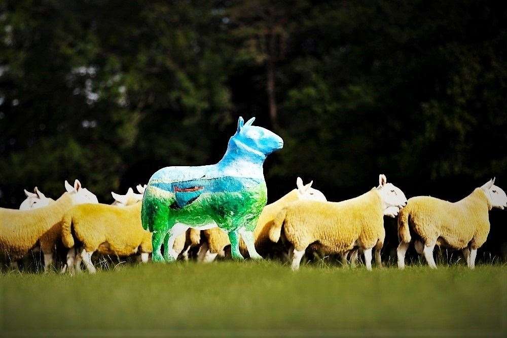 Sheep art