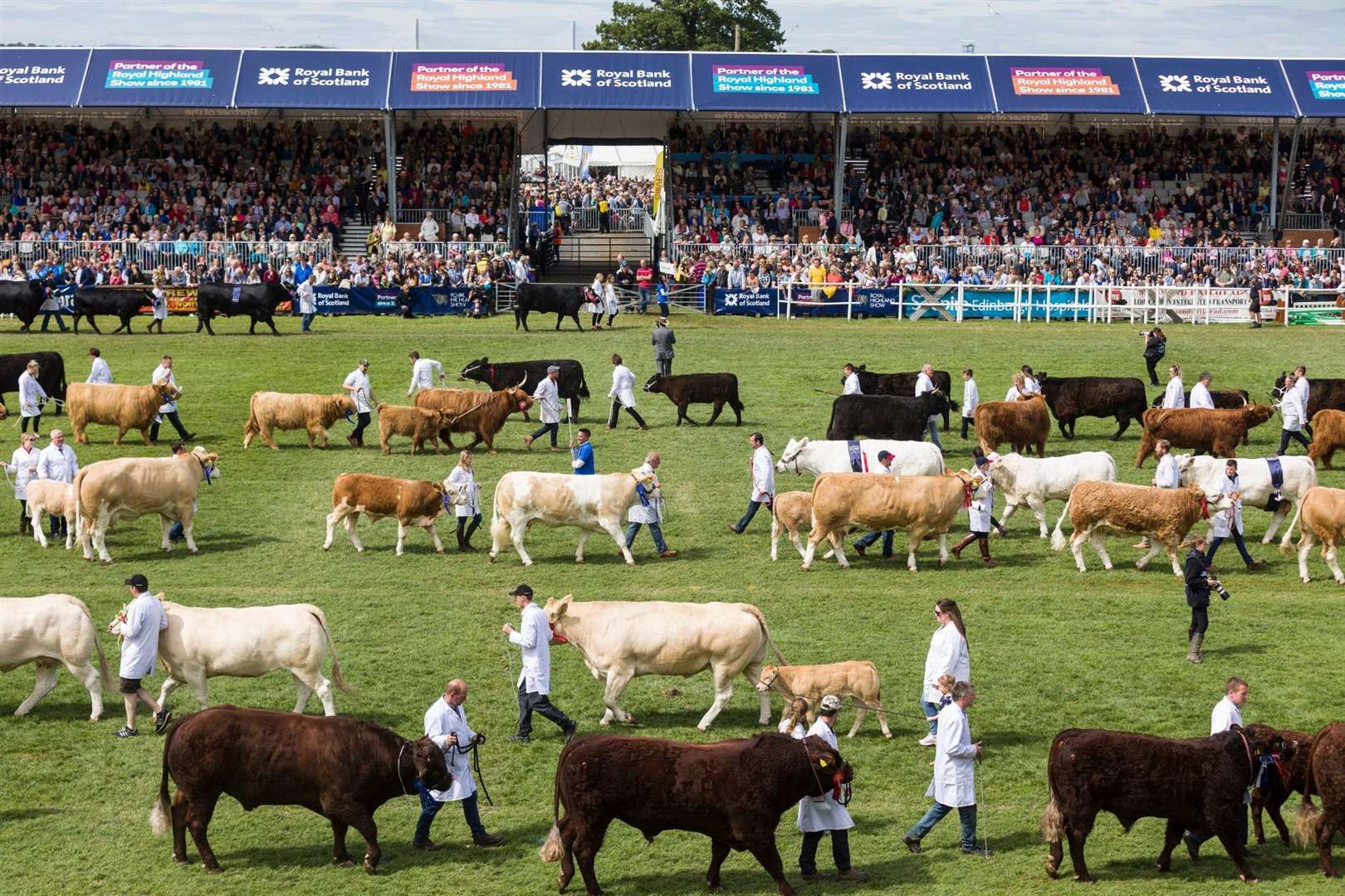The Royal Highland show will be available to watch through RHS TV