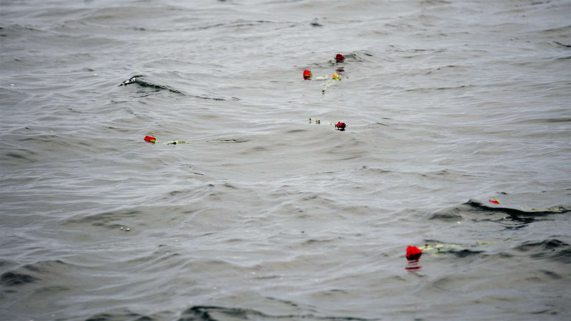 Flowers laid on the bay in remembrance of those lost at sea. Picture: DGS