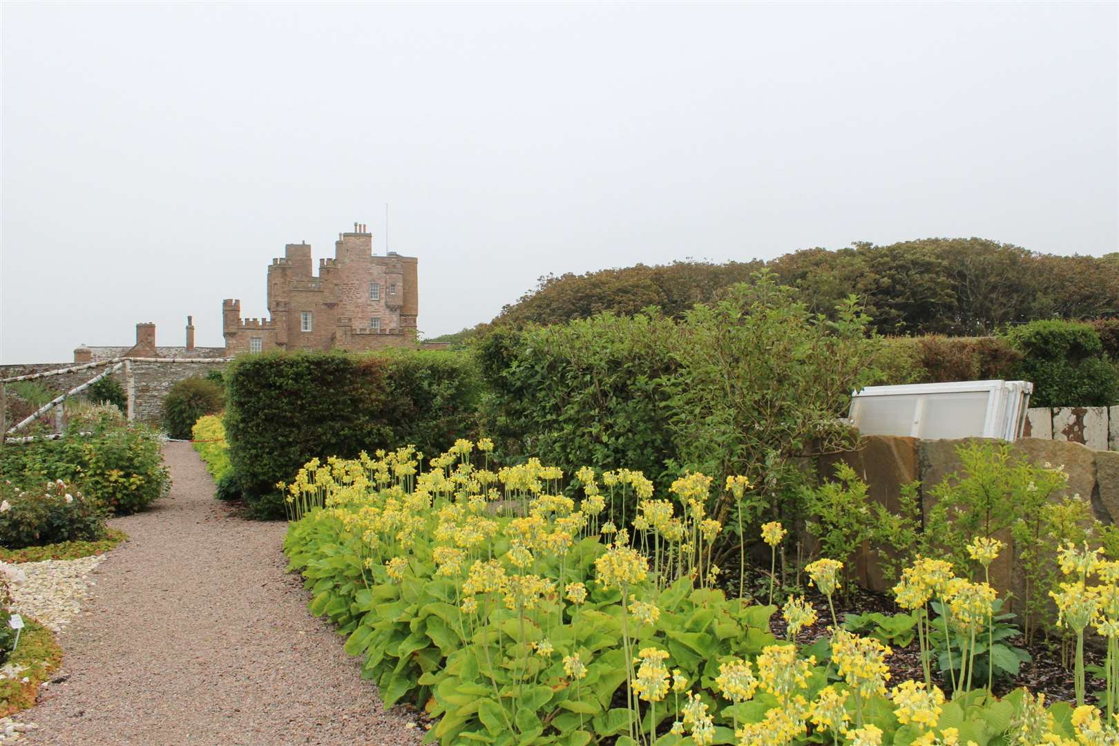 The castle can be seen in the background of this garden photo.