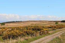 Objectors have pledged to fight the new wind farm application for Spittal Hill.