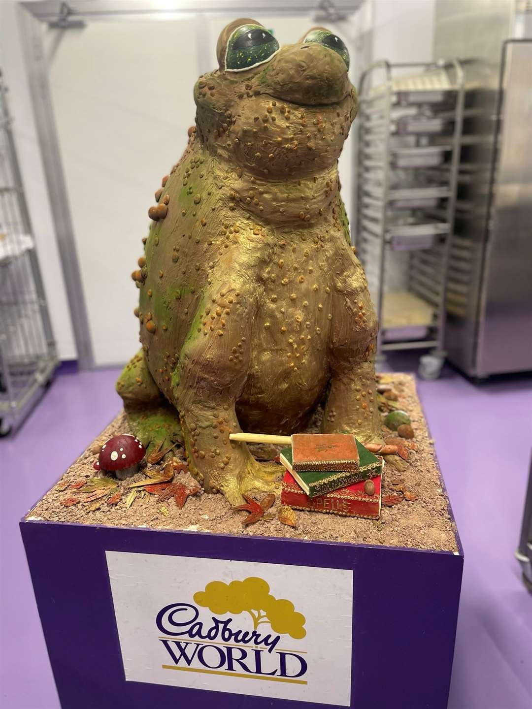 The toad is 90cm tall and the display features a wand and spell books (Phil Barnett/PA)