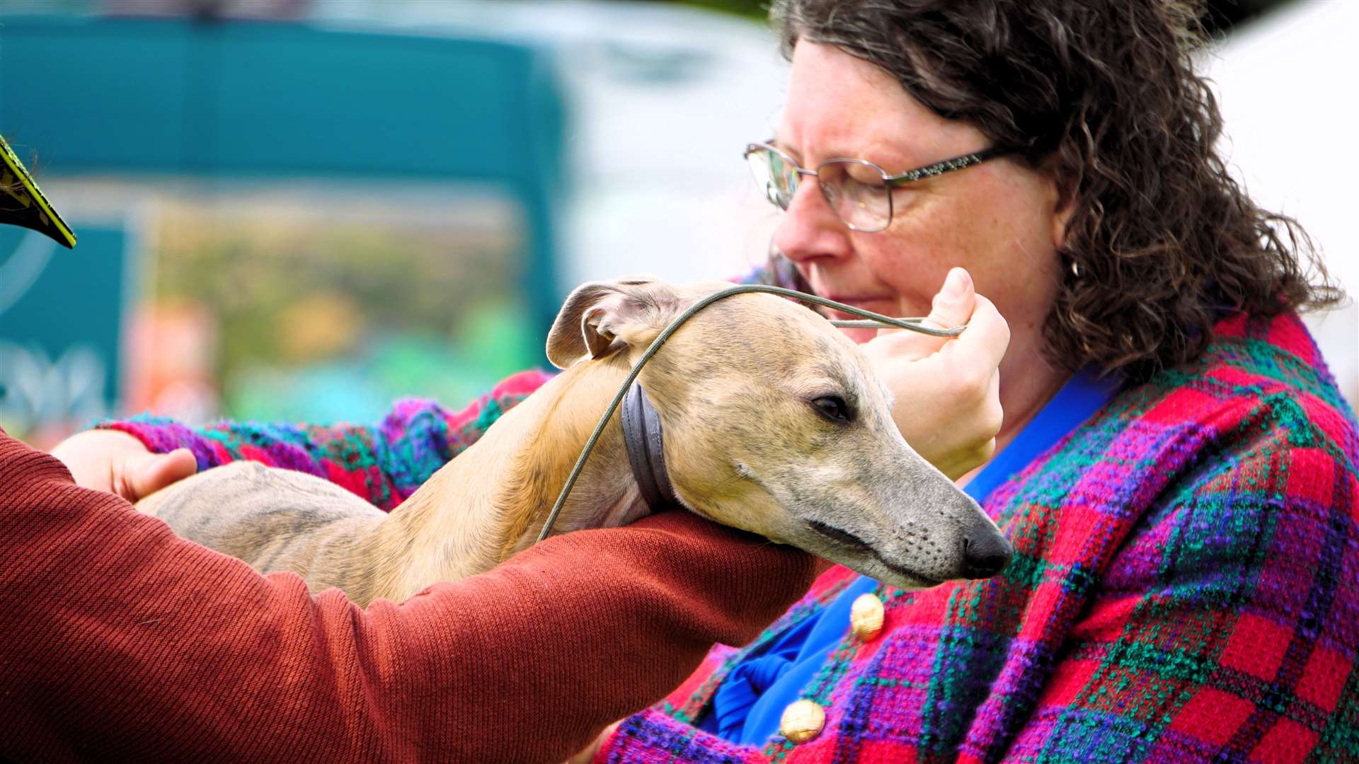 Dog Show judge Laura Swanson was very busy with all the different breeds at the event. Picture: DGS