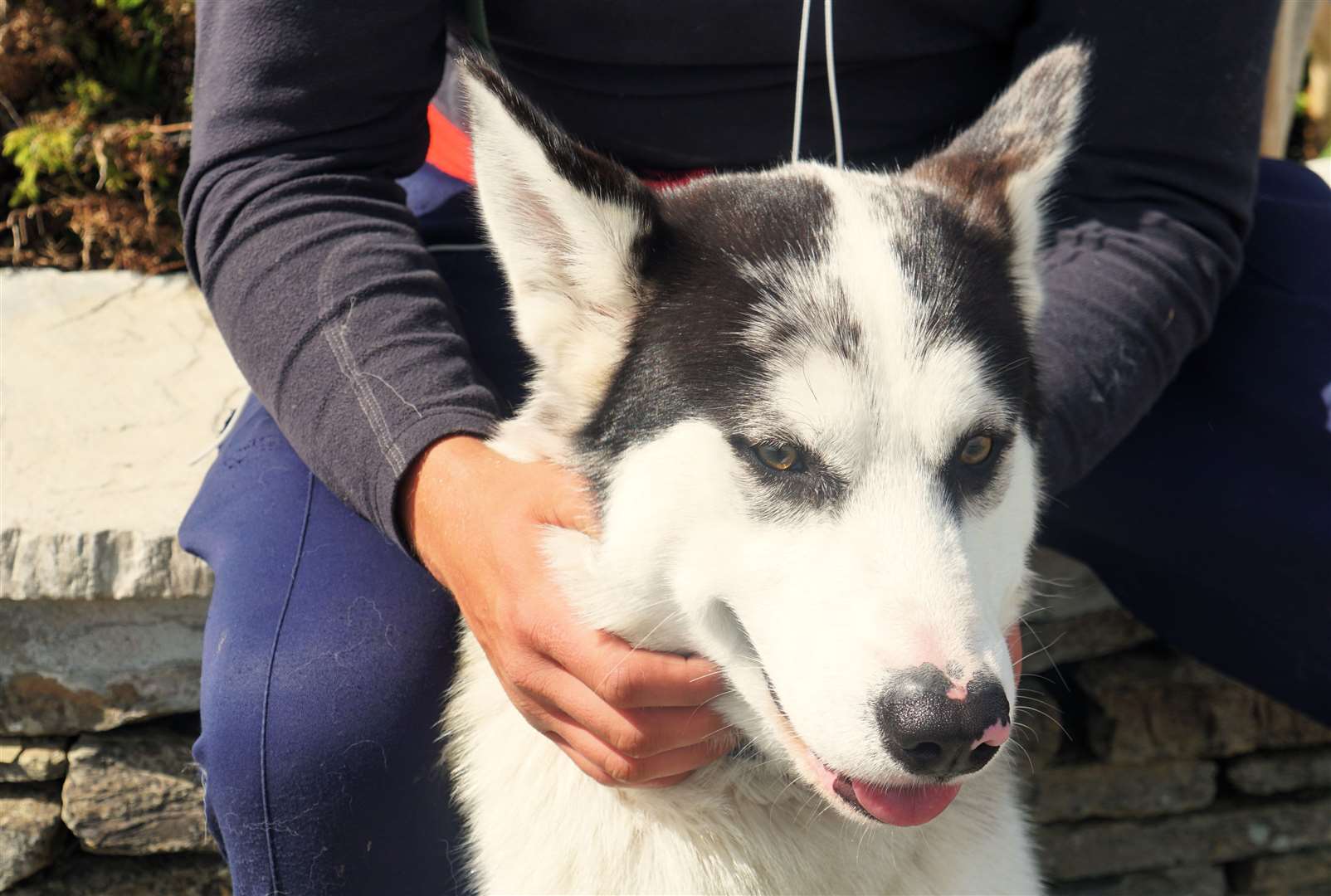 Jackson was rescued by Jordan along the way and got Shyla pregnant. Picture: DGS