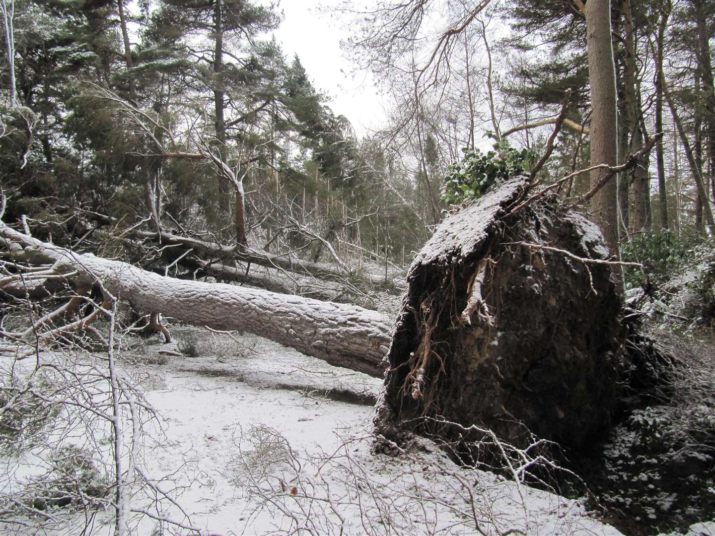 Storm Arwen brought disruption to Northumberland (National Trust/PA)