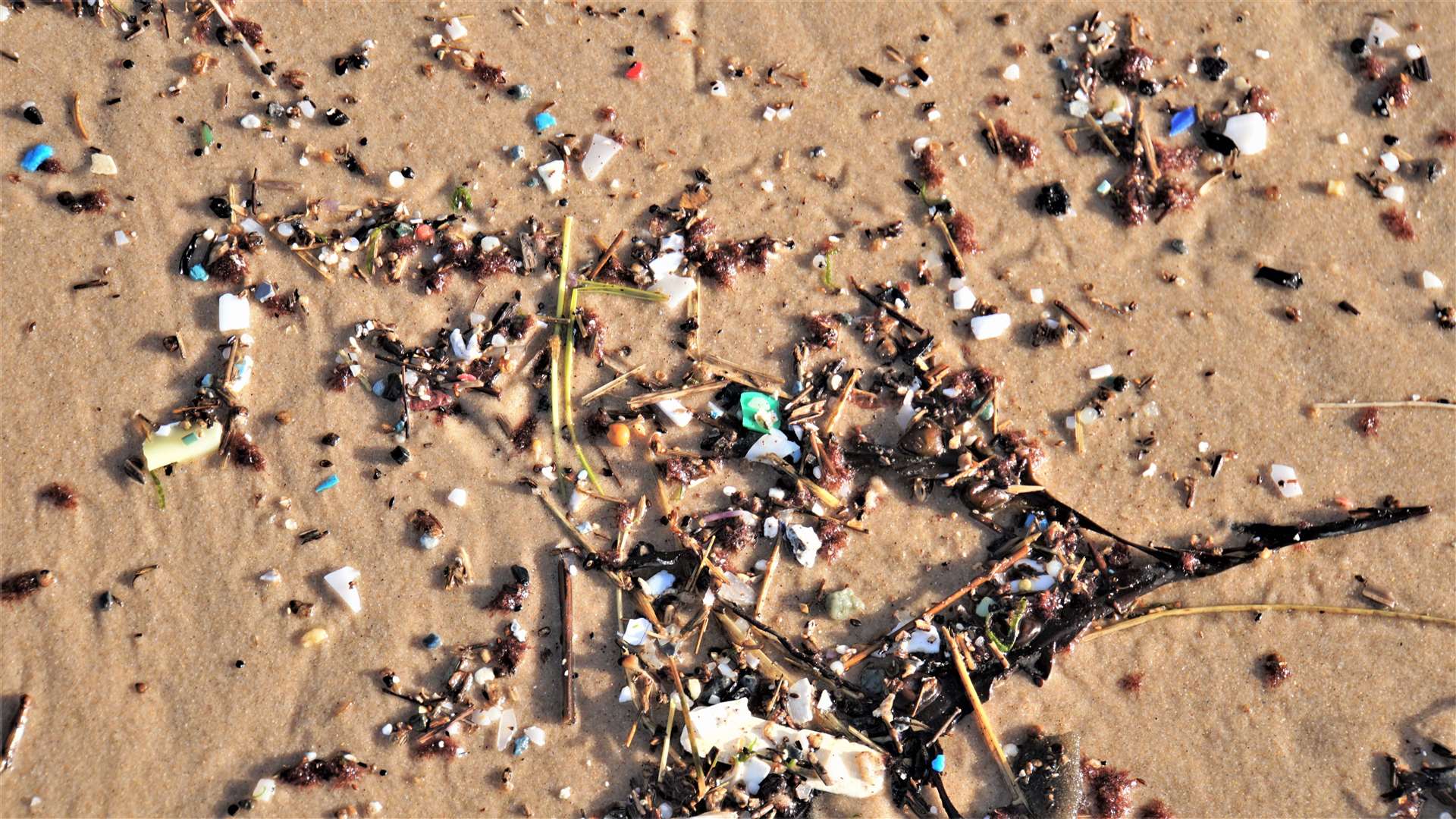 Microplastic pieces and nurdles found on Dunnet beach at the weekend. Picture: DGS