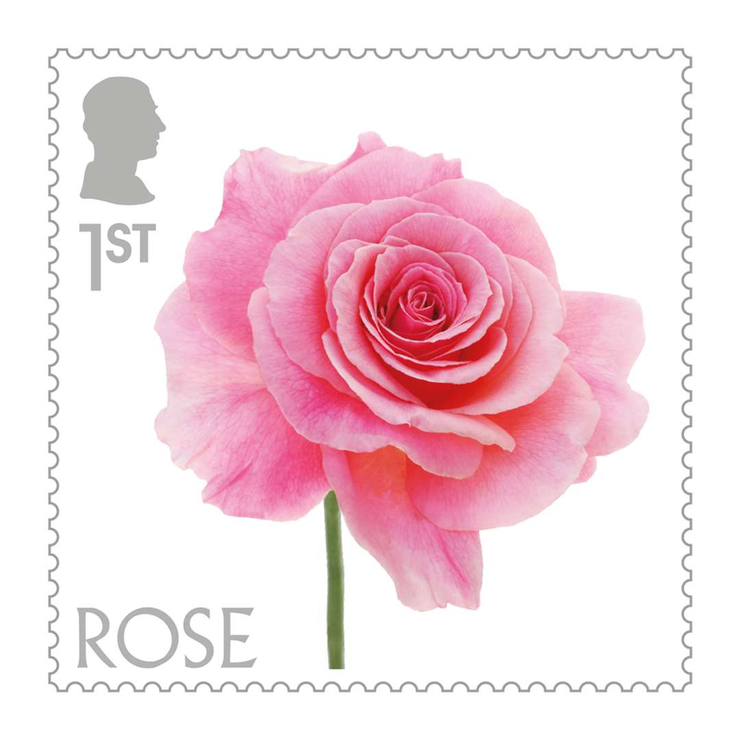 The pink rose in the new collection (Royal Mail/PA)