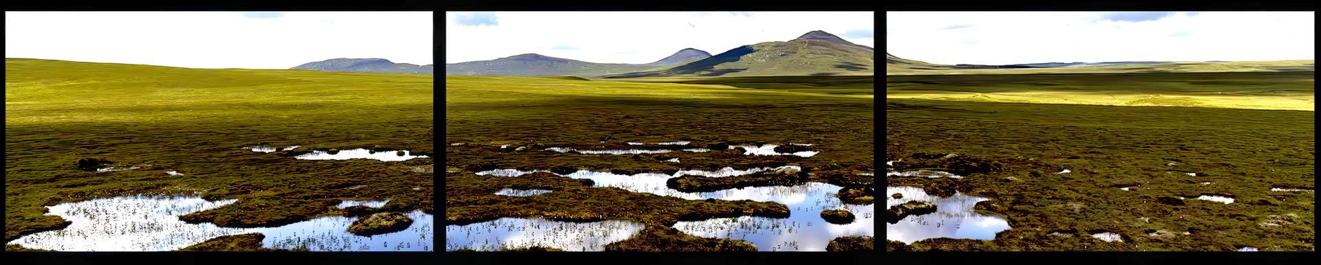 Image from When Fish Begin to Crawl showing the Flow Country with dhu lochans.