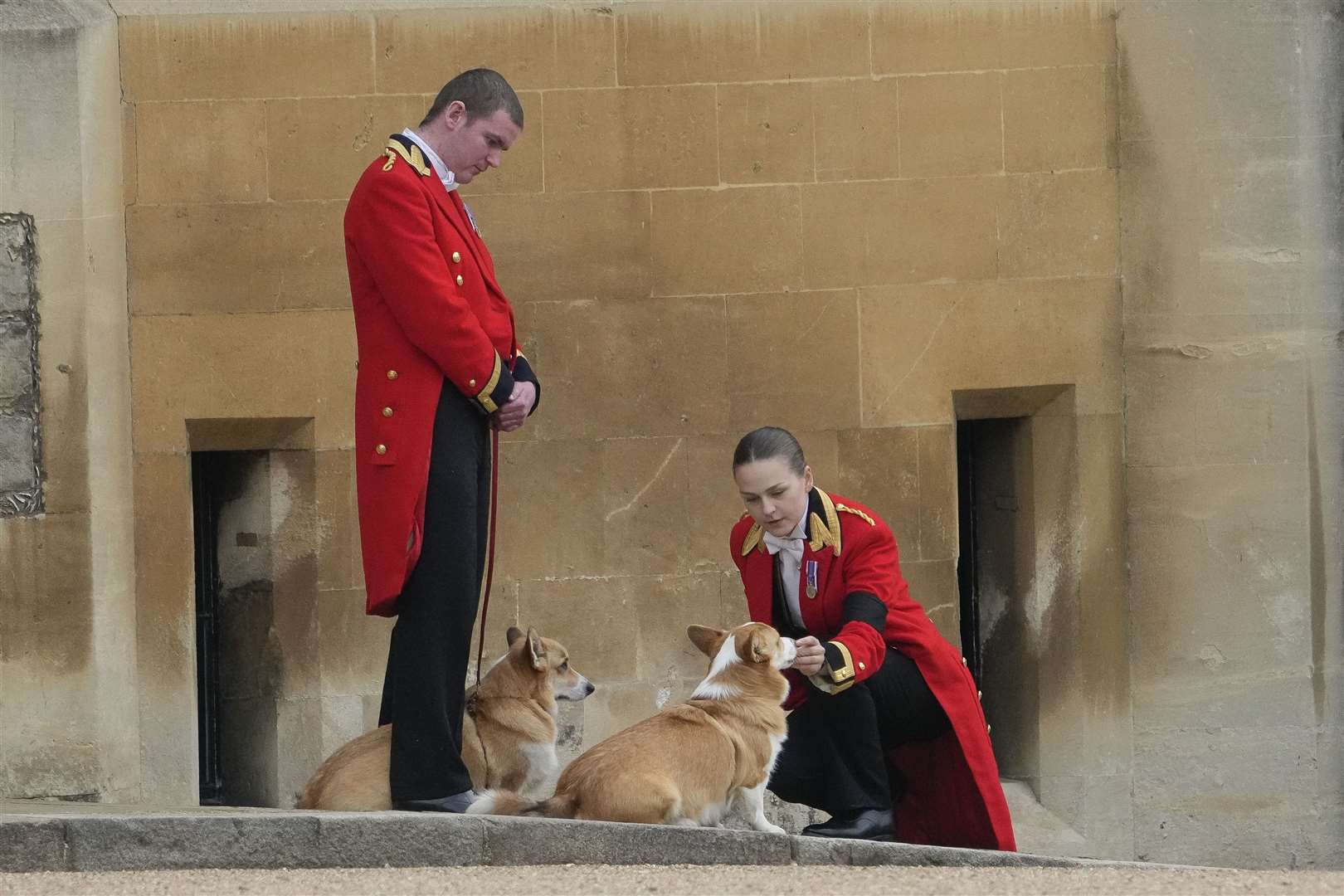 The Queen’s corgis, Muick and Sandy, were brought outside during the Ceremonial Procession through Windsor Castle (Gregorio Borgia/PA)