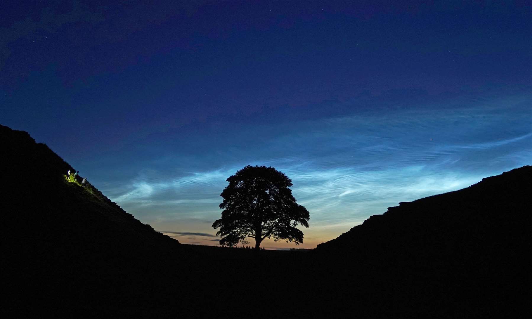 Rare noctilucent clouds appear over the famous Sycamore Gap tree (Owen Humphreys/PA)