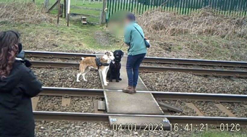 A dog walker gets their pets to sit on the crossing to pose for a photo (Network Rail/PA)