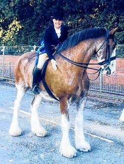 Isla Miller, Horse of the Year Show, HOYS, Stobilee Zac, Equestrianism
