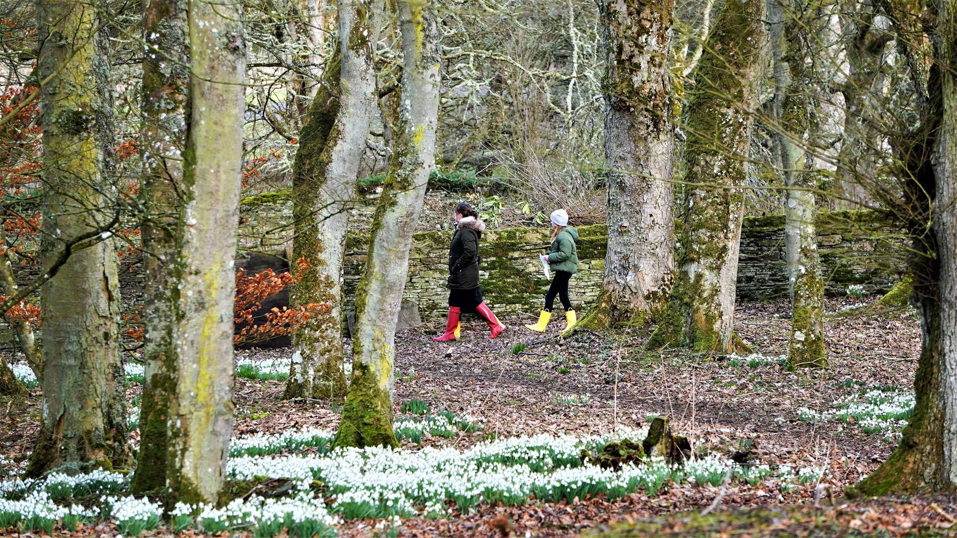 Snowdrop Day at Thrumster House was a family friendly event. Picture: DGS