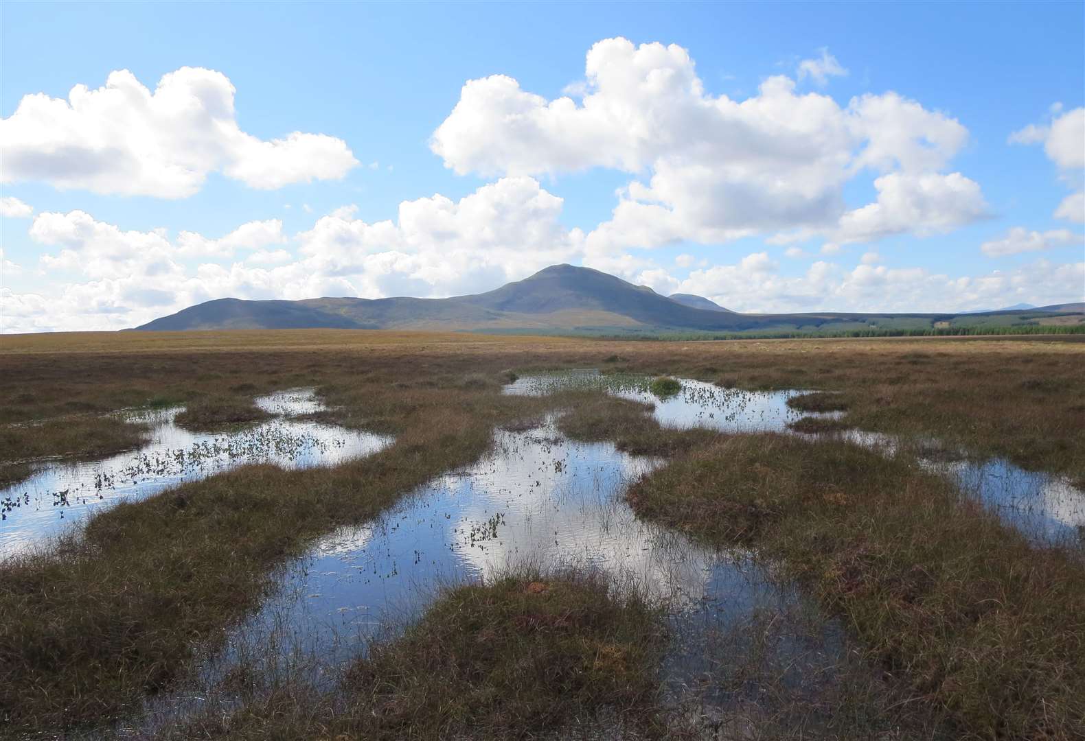 The Flow Country will be a focus for the new research.