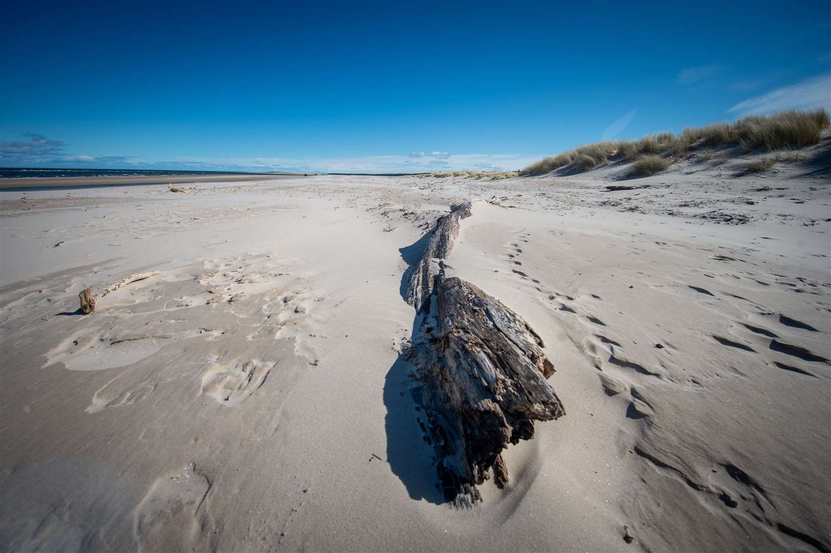 The dunes on Nairn Beach. Picture by: Callum Mackay.