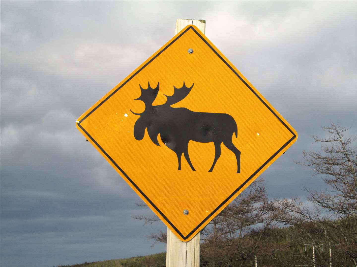 Watch out for low-flying moose in this area.