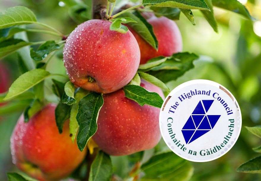 Highland Council's food growing strategy is making 'positive progress', councillors have heard.