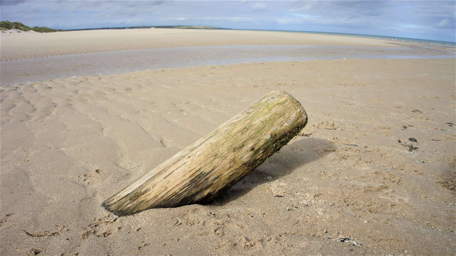 Stump of an anti-glider pole on Reiss beach. Picture: DGS