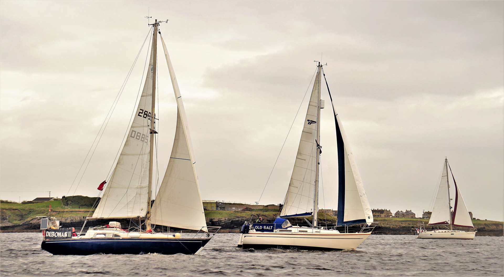 Debonair II, Old Salt and CD Venture race along the north side of the bay. Picture: DGS