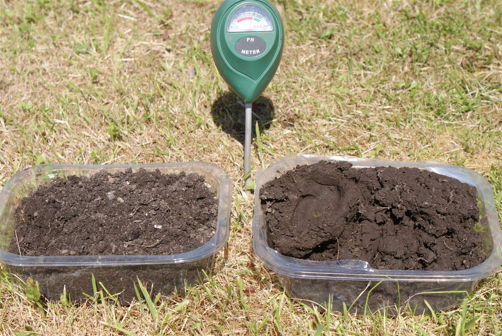 The 'virgin' clay soil on the right – note the piece to the left of the sample with the thumbprints in it.  To the left is soil that has been improved by previous occupants – its texture is much more open and friable.  In the center is a pH meter, showing that the soil is neutral at pH 7.