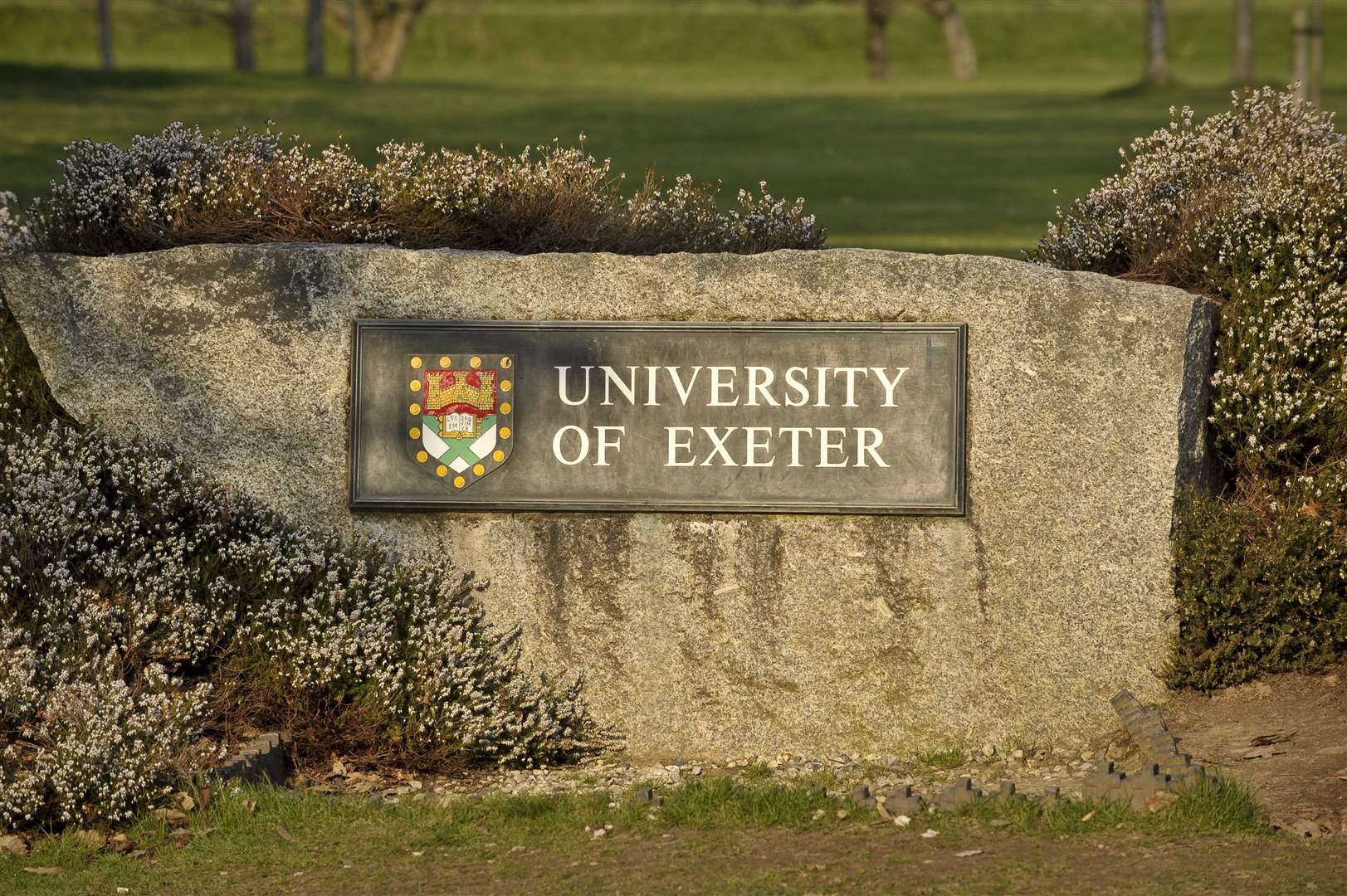 The scientific paper was published by the University of Exeter and Greenpeace (Ben Birchall/PA)
