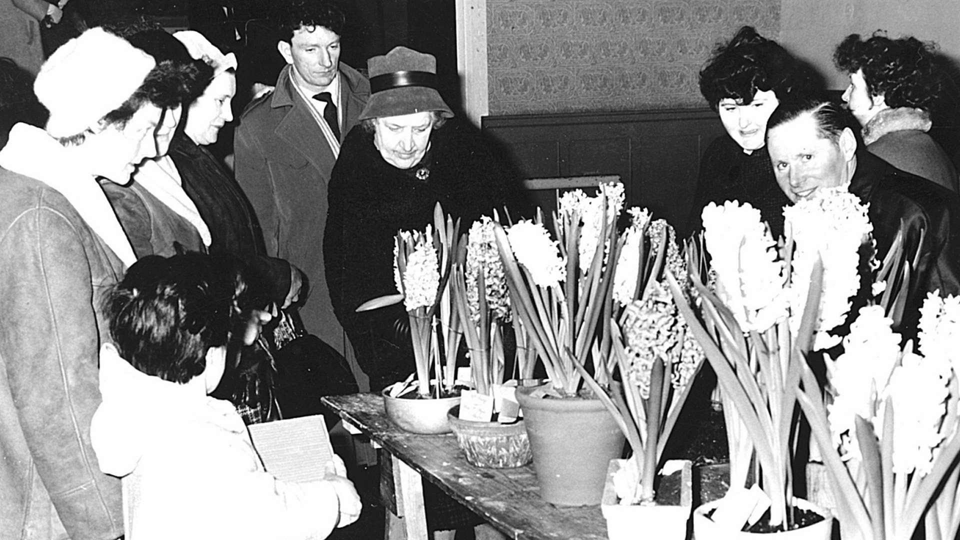 Pot plants attracting admiring glances from visitors to a Caithness bulb show, probably in the west of the county. The year is not known and neither is the photographer.